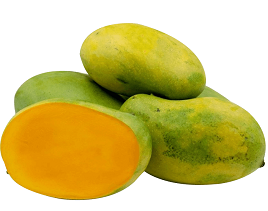 IMG